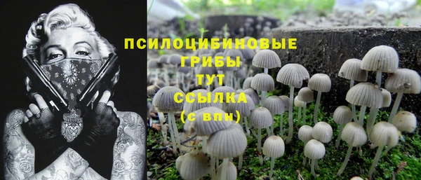 apvp Елизово