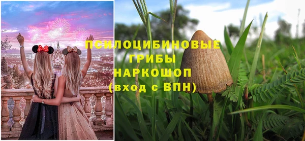 альфа пвп Заволжск